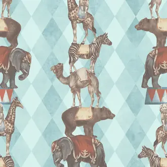 Barnum DYW004