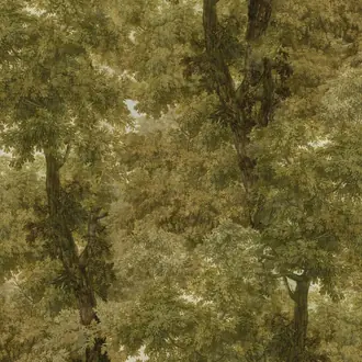 Branchy WP20784
