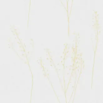 Capsella 9813-133