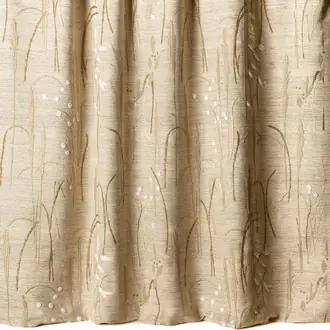 Herbier 10856-36
