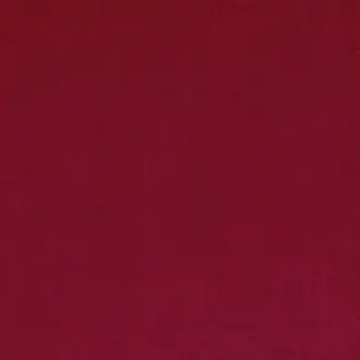 Barcelona Redcurrant V3347-20