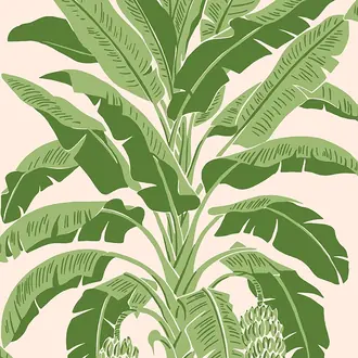 Banana Tree T13917