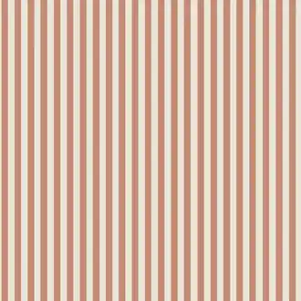 Molle Stripe 5736