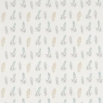 Bilberry 236424