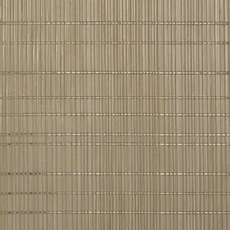 Tinseltown Showbiz Beige 5793