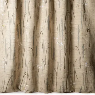 Herbier 10856-60