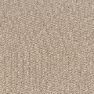 Taiga 4594 24 61