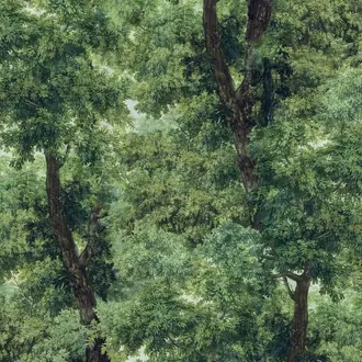 Branchy WP20785