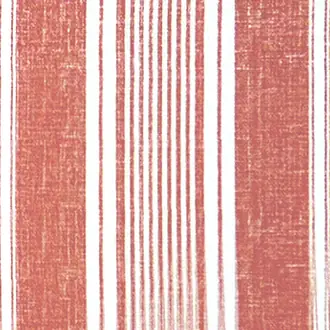 Toile Stripe 04
