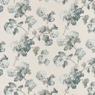 Sussex Hydrangea AF57847