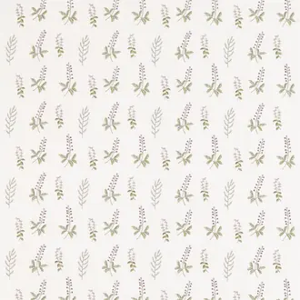 Bilberry 236425