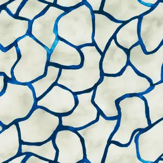 Splash Ocean Z621-03