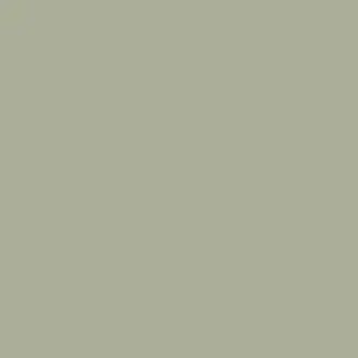 Boringdon Green No 295