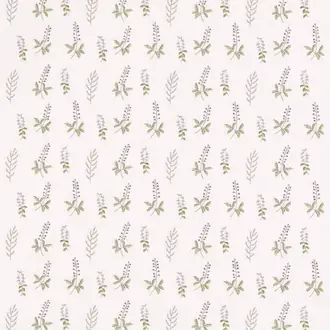 Bilberry 236425