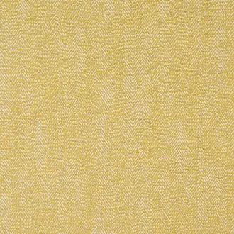 Shelley Ochre