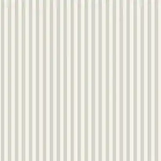 Molle Stripe 5737