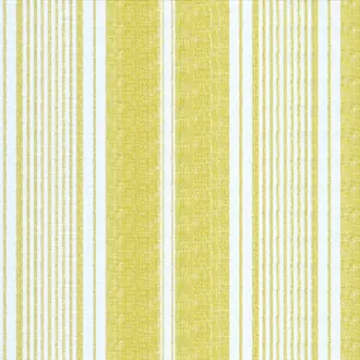 Toile Stripe 05