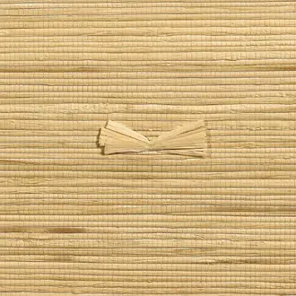 Raffia with a Twist 10372