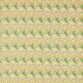 Daffodil 226992
