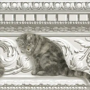 Paddy and Louis Border 103-6025