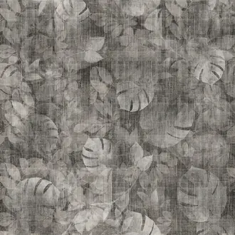 Transition Tropic ID1002