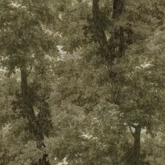 Branchy WP20786