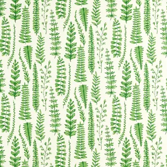 Ferns NART121031