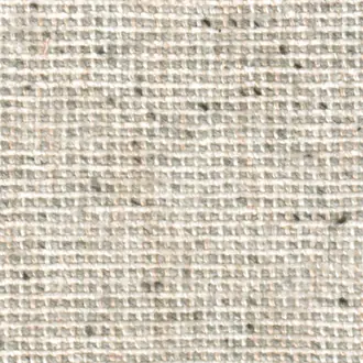 Toile Stripe 06
