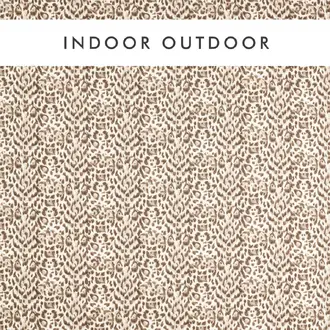 Felis Indoor Outdoor CCF0866-03