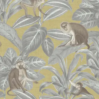 Indian Monkey DYW0008