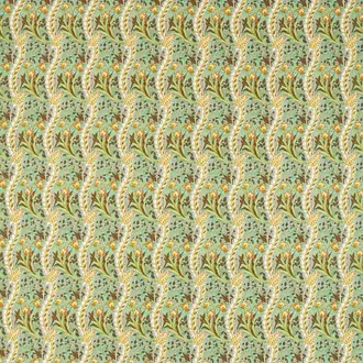 Daffodil 226993
