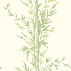 Bamboo 100-5023