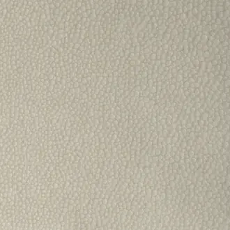 Shagreen 71161-014