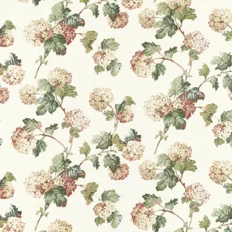 Sussex Hydrangea AF57848