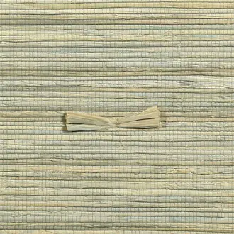 Raffia with a Twist 10373