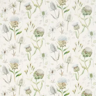Thistle Garden 226421