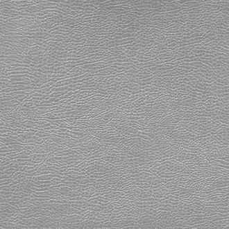 Mojave FDG2167-06