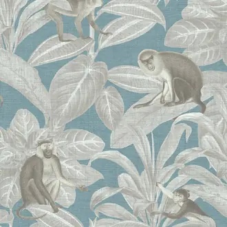 Indian Monkey DYW0009