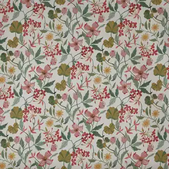Hibiscus 8852-650