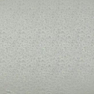 Caninia Limestone