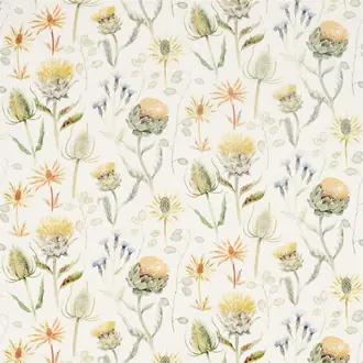 Thistle Garden 226422
