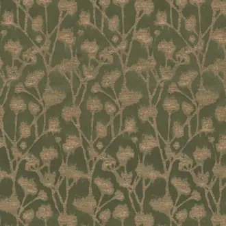 Altamira Olive