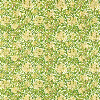 Honeysuckle 226984
