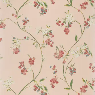 Edo Bloom AT16155