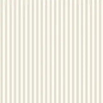 Molle Stripe 5739