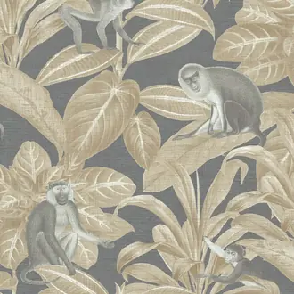 Indian Monkey DYW0010