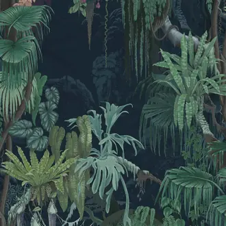 Madagascar R17491