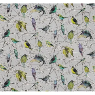 Aviary F7011-01