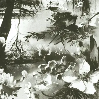 Brume 3307-01