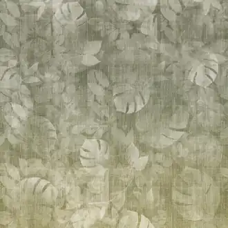 Transition Tropic ID1004